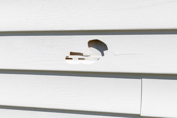 Best Aluminum Siding Installation  in Placerville, CA